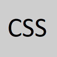 CSS logo